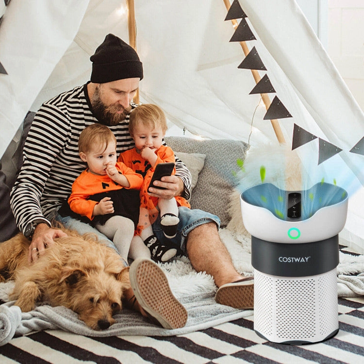 Air Purifier with Sleep Mode