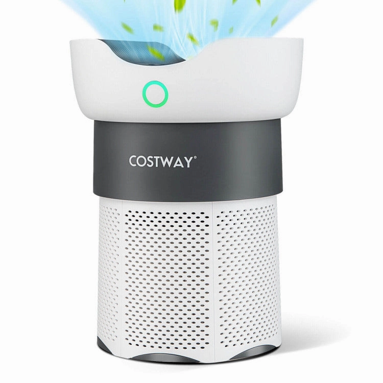 Air Purifier with Sleep Mode
