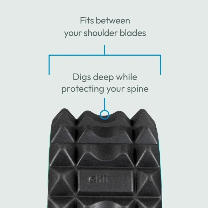 Chirp Wheel XR 10-inch Accupressure