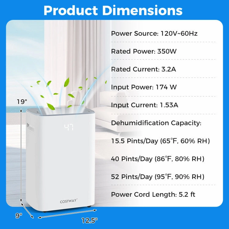 Dehumidifier with Auto Drain or Manual Drainage for Home Basement