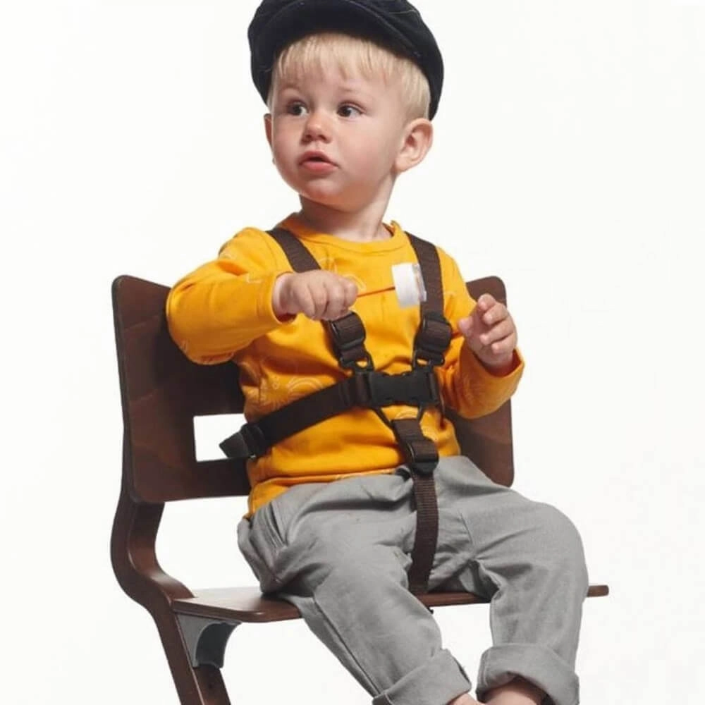 Leander Chair Harness