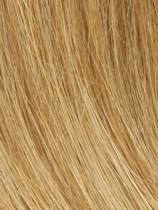 PLF 004HM by Louis Ferre | Human Hair Lace Front Wig (Hand-Tied) | CLOSEOUT