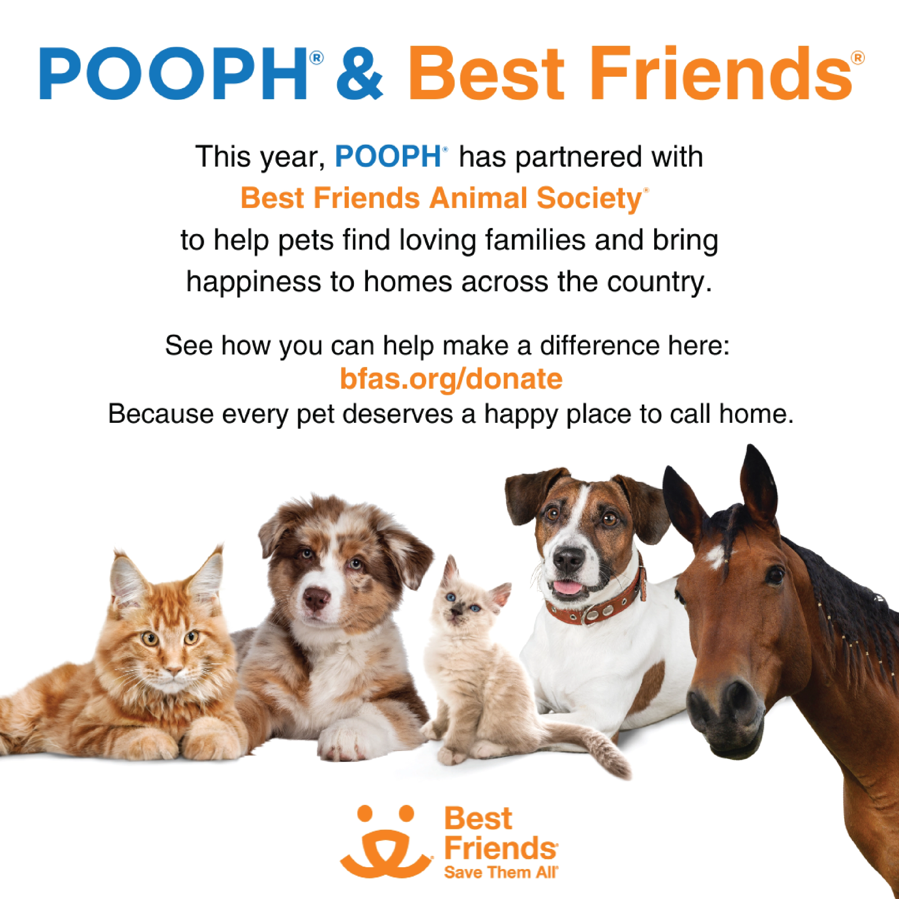 POOPH® Litterizer™